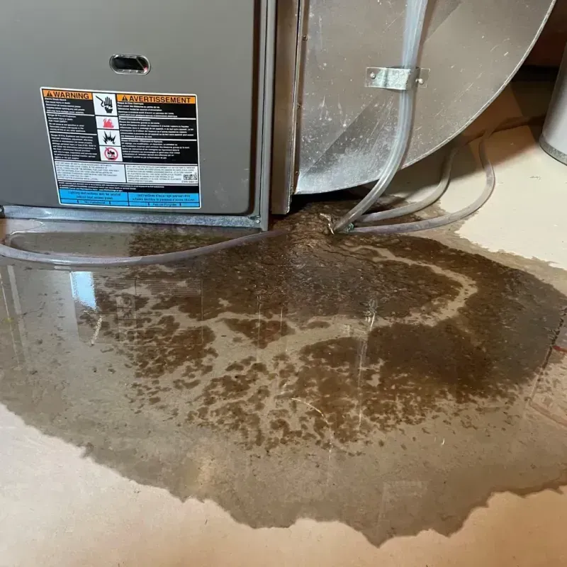 Appliance Leak Cleanup in Alva, OK